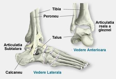 tratamentul cu jet de castor al articulațiilor leziuni severe ale cartilajului genunchiului